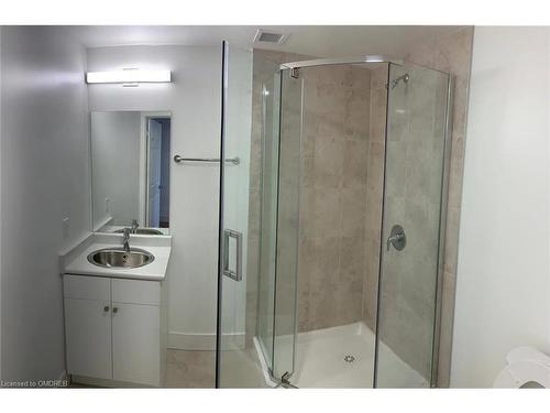 308-1 Wellington Street, Brantford, ON - Indoor Photo Showing Bathroom