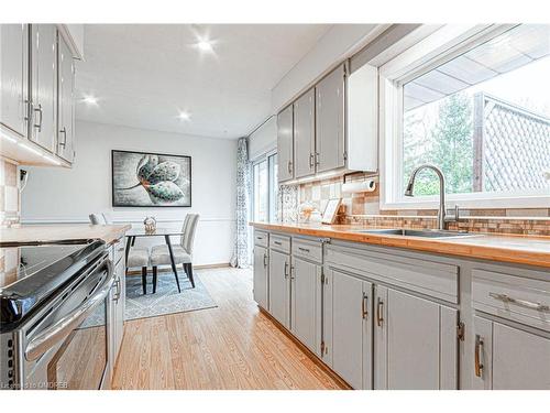 107 Clark Avenue, Kitchener, ON - Indoor Photo Showing Kitchen
