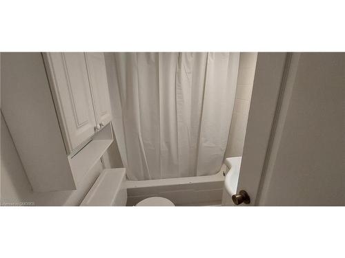137 Whitney Avenue, Hamilton, ON - Indoor Photo Showing Bathroom