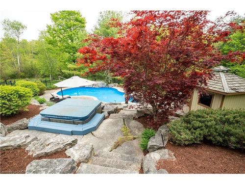 10125 Pineview Trail, Milton, ON - Outdoor With In Ground Pool With Backyard