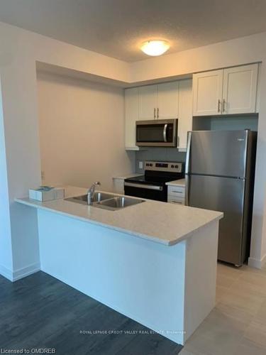 309-460 Dundas Street E, Hamilton, ON - Indoor Photo Showing Kitchen With Double Sink