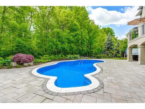 168 Diiorio Circle, Ancaster, ON - Outdoor With In Ground Pool With Deck Patio Veranda With Backyard