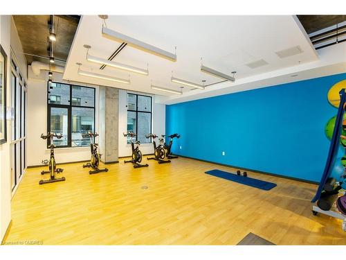 1017-105 Champagne Avenue S, Ottawa, ON - Indoor Photo Showing Gym Room