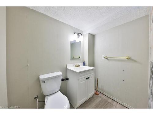 100 Fellowes Crescent, Waterdown, ON - Indoor Photo Showing Bathroom