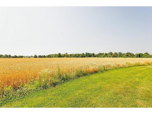 8790 9 Line, Georgetown, ON - Outdoor With View