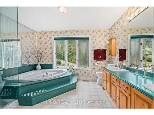 307254 Hockley Valley Road, Mono, ON - Indoor Photo Showing Bathroom