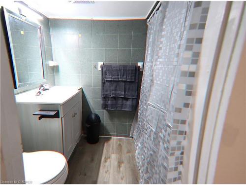 97 Francis Street, Hamilton, ON - Indoor Photo Showing Bathroom