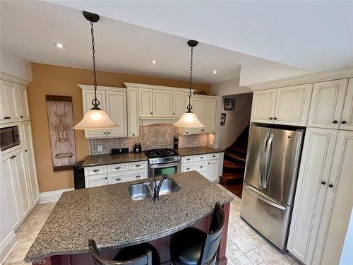 113 Claremont Drive, Hamilton, ON - Indoor Photo Showing Kitchen With Double Sink