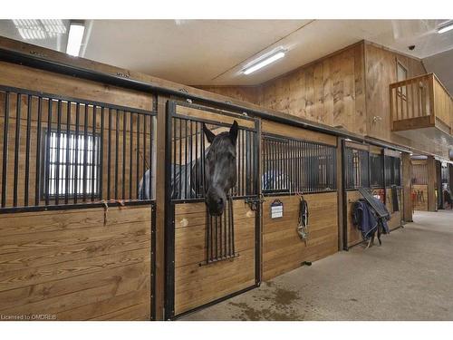 1694 Centre Rd, Carlisle, ON - Indoor Photo Showing Other Room