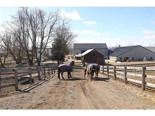 1694 Centre Rd, Carlisle, ON - Outdoor