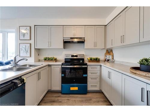 110-36 Dryden Lane, Hamilton, ON - Indoor Photo Showing Kitchen With Double Sink