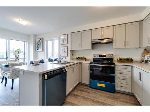 110-36 Dryden Lane, Hamilton, ON - Indoor Photo Showing Kitchen With Double Sink