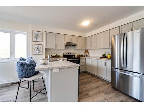 110-36 Dryden Lane, Hamilton, ON - Indoor Photo Showing Kitchen With Stainless Steel Kitchen With Double Sink