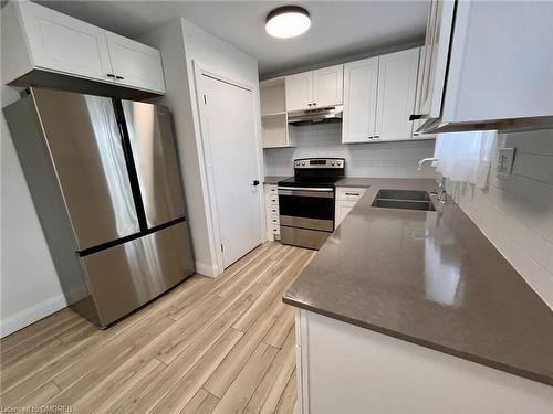 236 Bruce Street, Brantford, ON - Indoor Photo Showing Kitchen With Double Sink