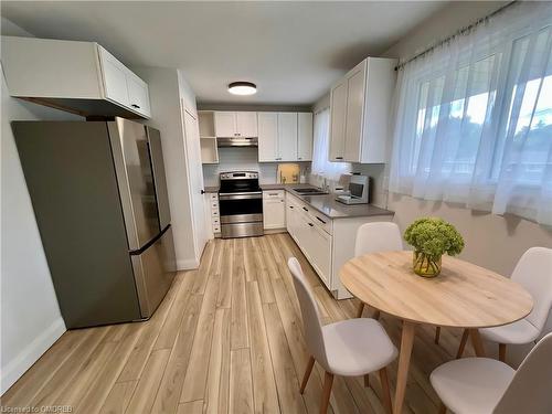 236 Bruce Street, Brantford, ON - Indoor Photo Showing Kitchen With Double Sink