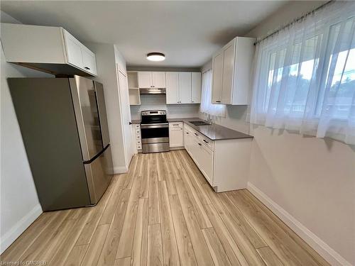 236 Bruce Street, Brantford, ON - Indoor Photo Showing Kitchen