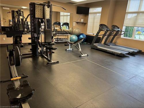 81 Abbotsford Trail, Hamilton, ON - Indoor Photo Showing Gym Room