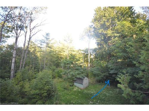 3227 Muskoka Street, Washago, ON - Outdoor