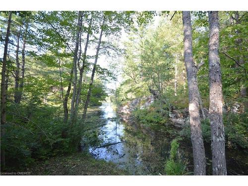 3227 Muskoka Street, Washago, ON - Outdoor With View