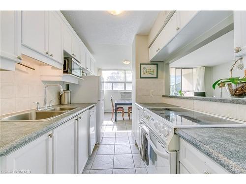 204-1950 Main Street W, Hamilton, ON - Indoor Photo Showing Kitchen With Double Sink