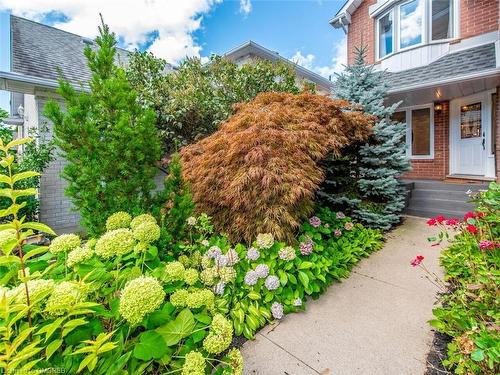 14 Pompano Court, Hamilton, ON - Outdoor