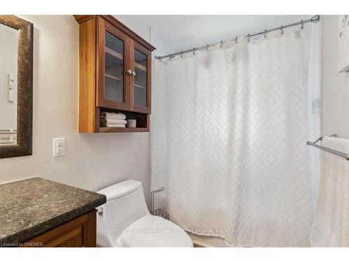 346 Trafalgar Court, Burlington, ON - Indoor Photo Showing Bathroom