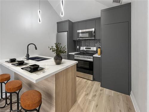 110R Deschene Avenue, Hamilton, ON - Indoor Photo Showing Kitchen With Double Sink