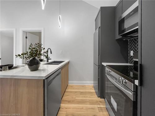 110R Deschene Avenue, Hamilton, ON - Indoor Photo Showing Kitchen With Double Sink