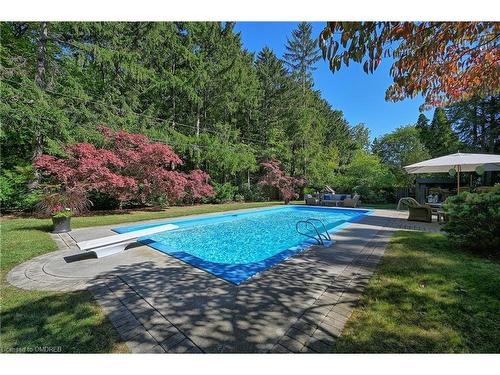 153 Wolfdale Avenue, Oakville, ON - Outdoor With In Ground Pool With Backyard