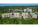 316-2085 Amherst Heights Drive, Burlington, ON  - Outdoor With View 