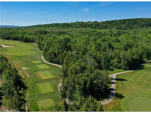 4-117 Sladden Court, Thornbury, ON - Outdoor With View