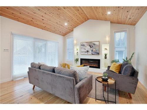 76 Macaulay Street W, Hamilton, ON - Indoor Photo Showing Living Room With Fireplace