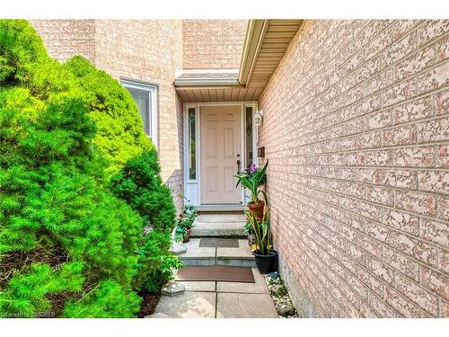 24 Westland Street, St. Catharines, ON - Outdoor