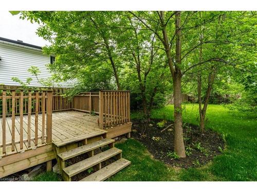 34 Rykert Street, St. Catharines, ON - Outdoor