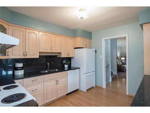 314 11Th Concession Rd E, Carlisle, ON - Indoor Photo Showing Kitchen With Double Sink