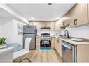 Lower-170 Terrace Drive, Hamilton, ON  - Indoor Photo Showing Kitchen 