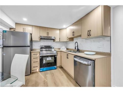 Lower-170 Terrace Drive, Hamilton, ON - Indoor Photo Showing Kitchen With Double Sink