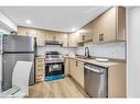 Lower-170 Terrace Drive, Hamilton, ON  - Indoor Photo Showing Kitchen With Double Sink 