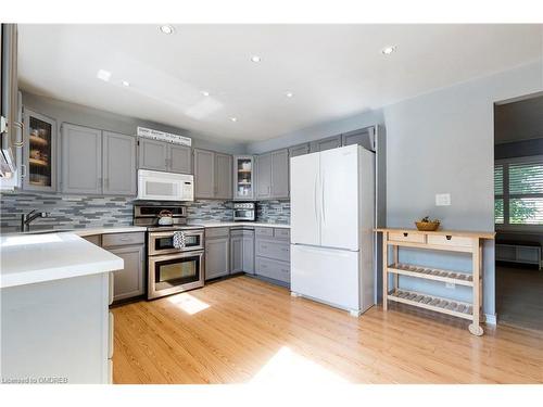 366 George Street, Milton, ON - Indoor Photo Showing Kitchen With Upgraded Kitchen