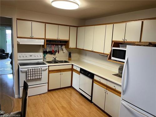 604-21 East Avenue S, Hamilton, ON - Indoor Photo Showing Kitchen With Double Sink