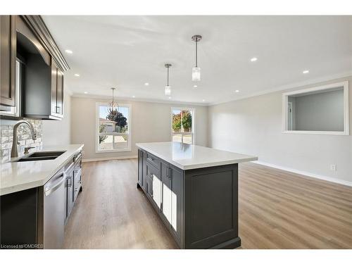 169 Ravenbury Drive, Hamilton, ON - Indoor Photo Showing Kitchen With Double Sink With Upgraded Kitchen