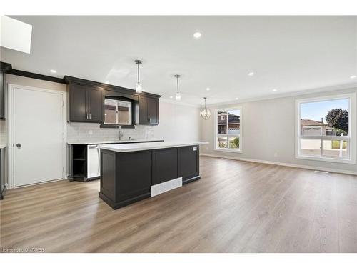 169 Ravenbury Drive, Hamilton, ON - Indoor Photo Showing Kitchen With Upgraded Kitchen