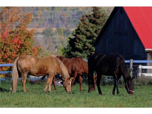 8268 Canyon Road, Campbellville, ON - Outdoor