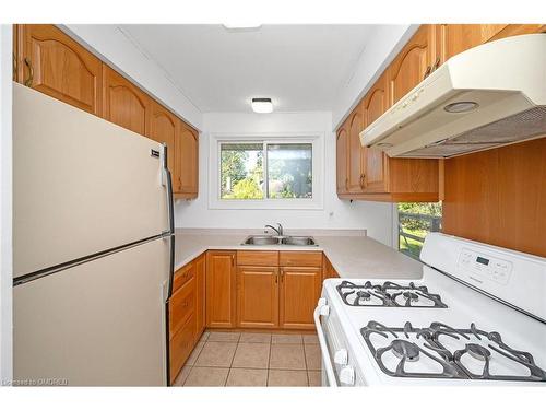 26 Carousel Avenue, Hamilton, ON - Indoor Photo Showing Kitchen With Double Sink