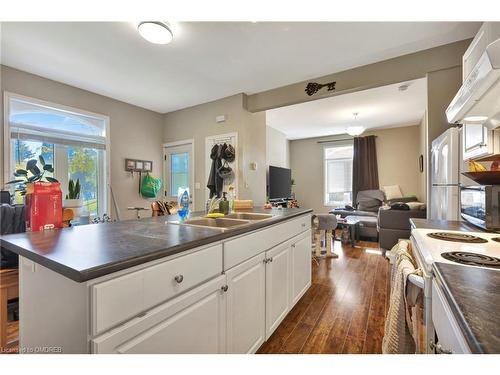 1 Terrace Hill Street, Brantford, ON - Indoor Photo Showing Kitchen With Double Sink