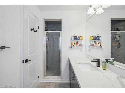 29 Rapids Lane, Hamilton, ON - Indoor Photo Showing Bathroom