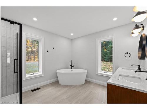 1009 Scotts Boathouse Road, Baysville, ON - Indoor Photo Showing Bathroom