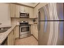 226-216 Oak Park Boulevard, Oakville, ON  - Indoor Photo Showing Kitchen With Stainless Steel Kitchen With Double Sink 