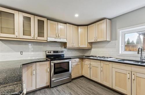 131 Bell Avenue, Hamilton, ON - Indoor Photo Showing Kitchen With Double Sink