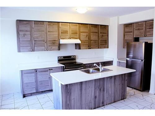 73 Holder Drive, Brantford, ON - Indoor Photo Showing Kitchen With Double Sink